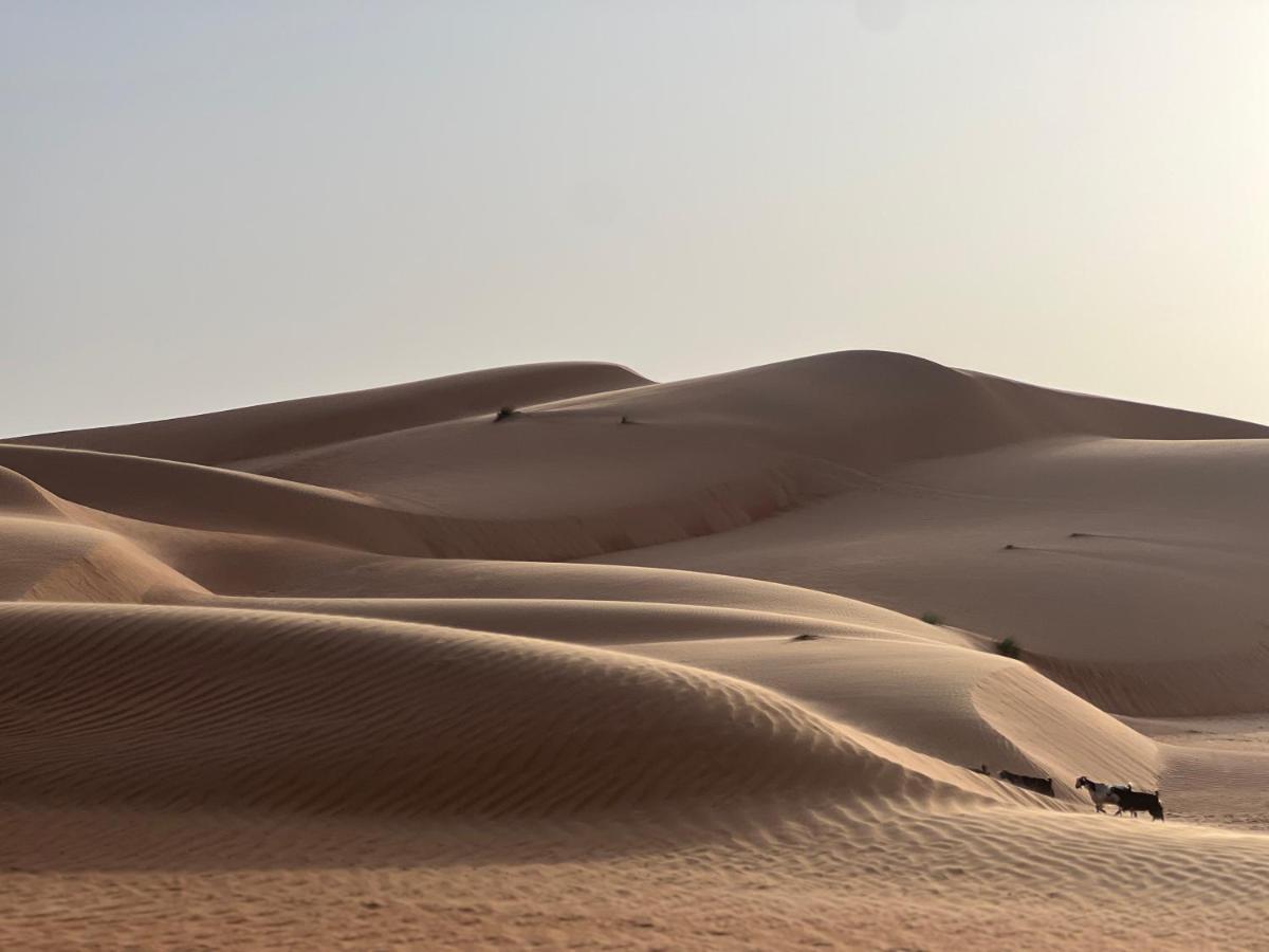 Thousand Stars Desert Camp Badīyah 외부 사진