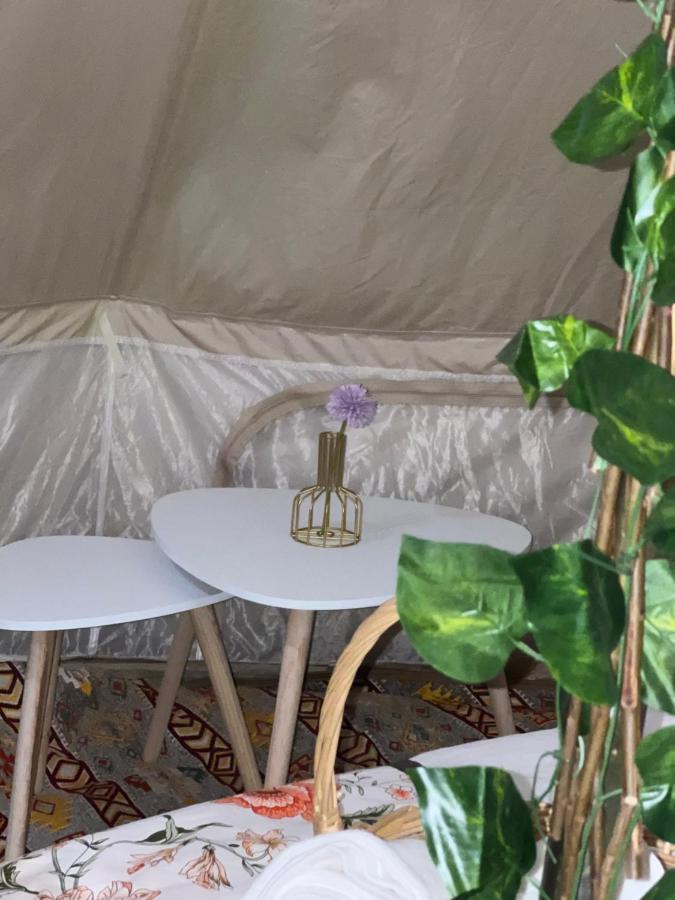Thousand Stars Desert Camp Badīyah 외부 사진