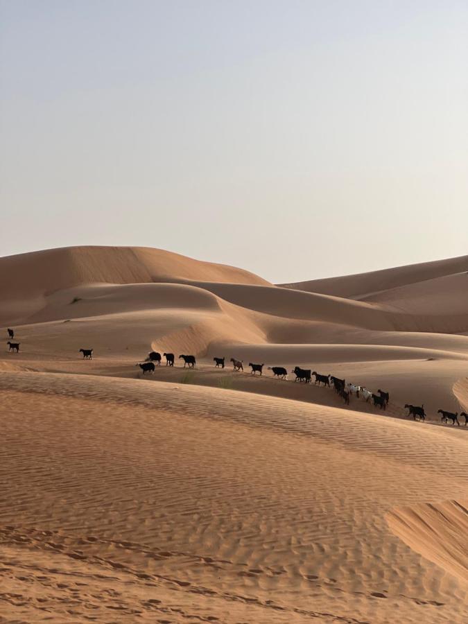 Thousand Stars Desert Camp Badīyah 외부 사진