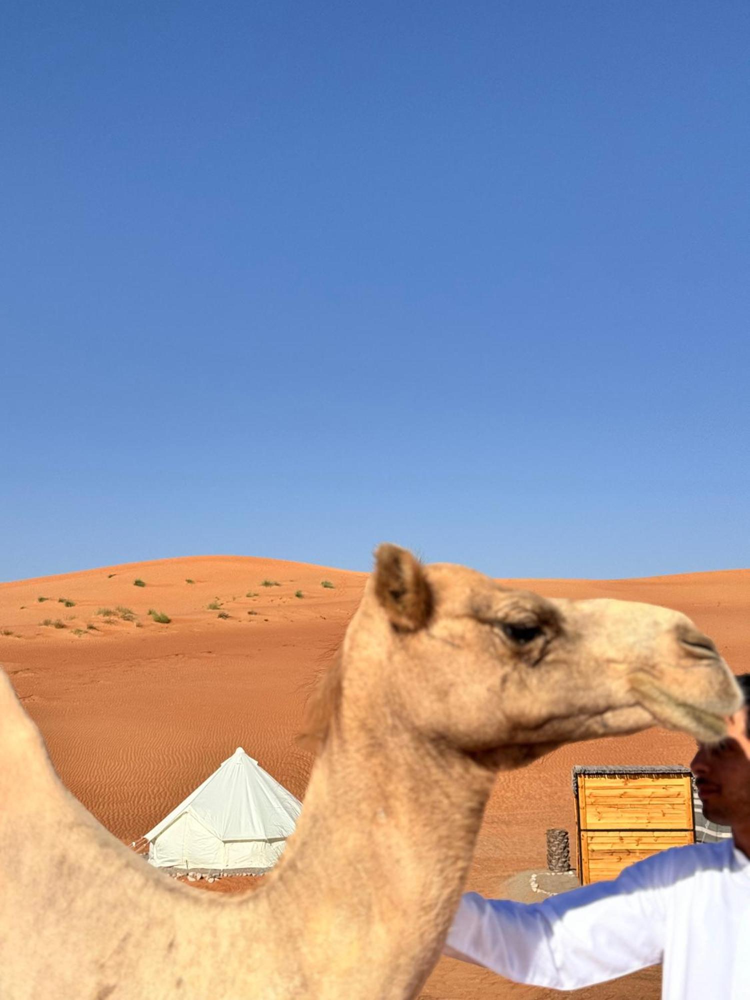 Thousand Stars Desert Camp Badīyah 외부 사진