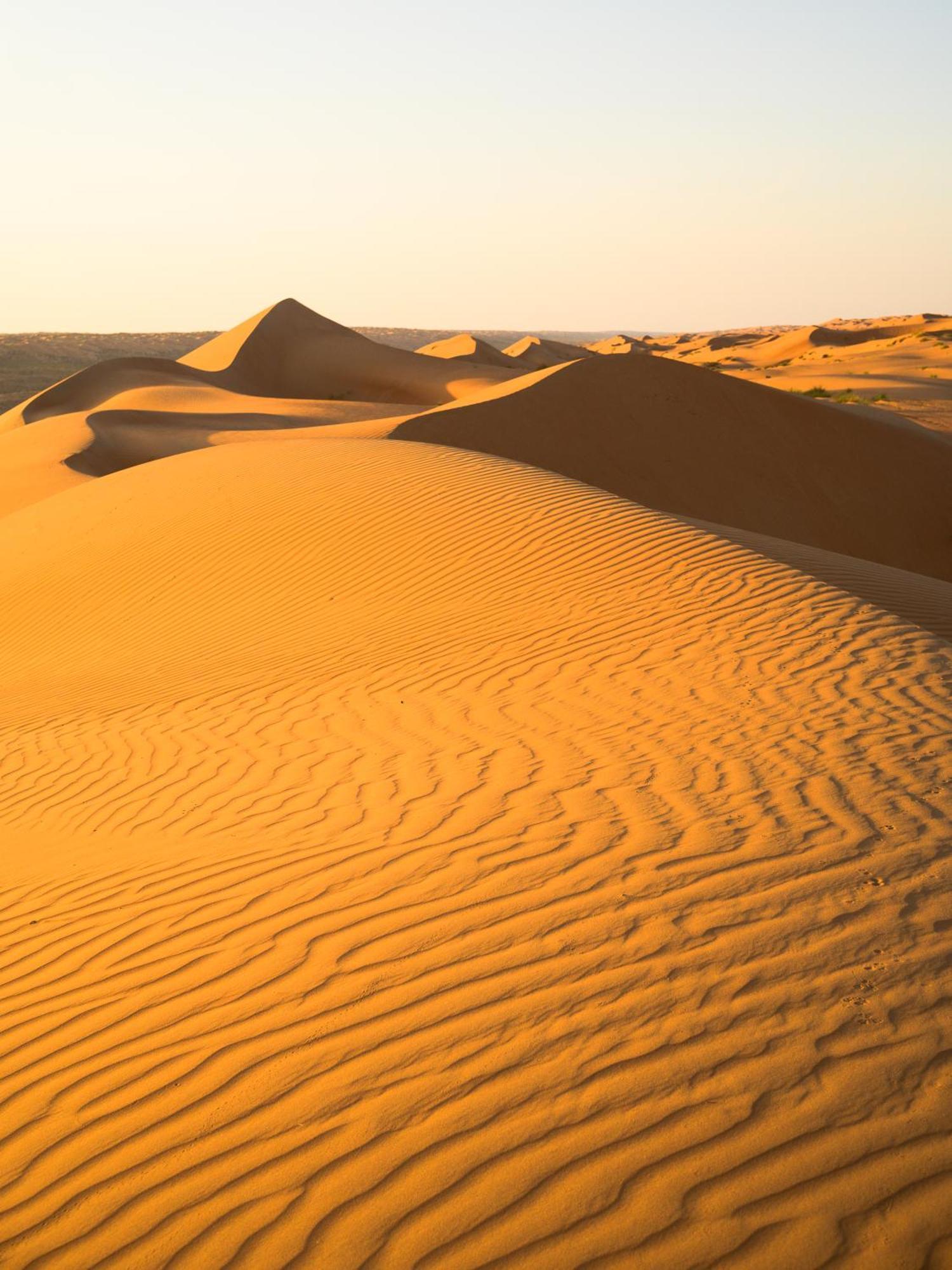 Thousand Stars Desert Camp Badīyah 외부 사진
